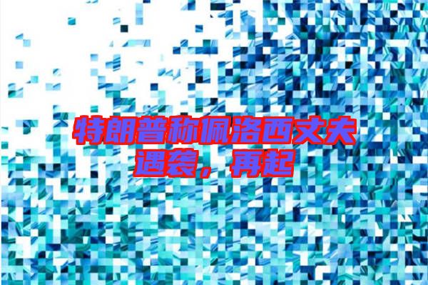 特朗普稱(chēng)佩洛西丈夫遇襲，再起