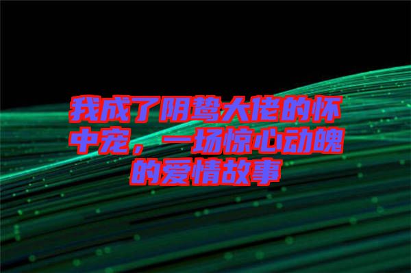 我成了陰鷙大佬的懷中寵，一場驚心動魄的愛情故事