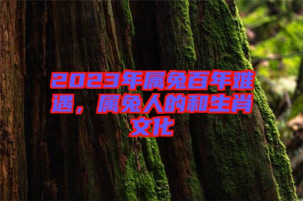2023年屬兔百年難遇，屬兔人的和生肖文化