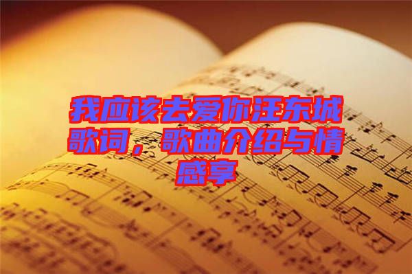 我應(yīng)該去愛(ài)你汪東城歌詞，歌曲介紹與情感享