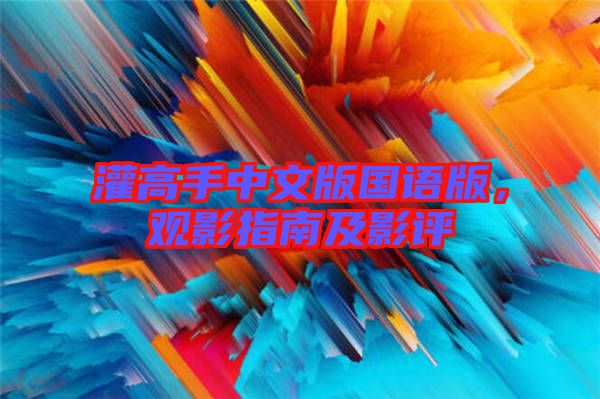 灌高手中文版國(guó)語(yǔ)版，觀影指南及影評(píng)