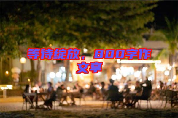 等待綻放，800字作文享