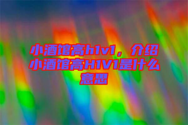 小酒館高h1v1，介紹小酒館高H1V1是什么意思