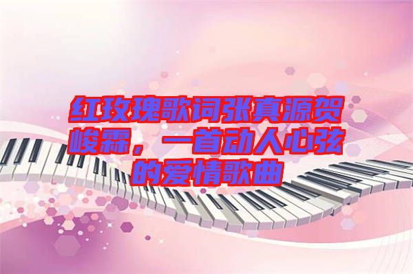 紅玫瑰歌詞張真源賀峻霖，一首動人心弦的愛情歌曲