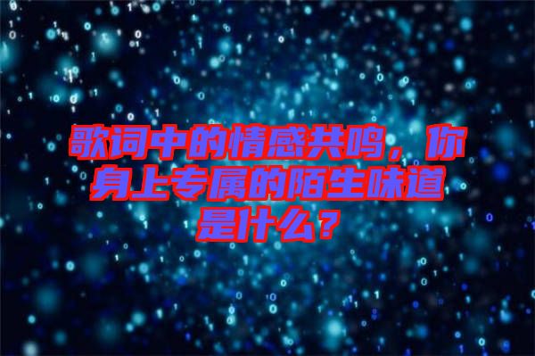 歌詞中的情感共鳴，你身上專屬的陌生味道是什么？