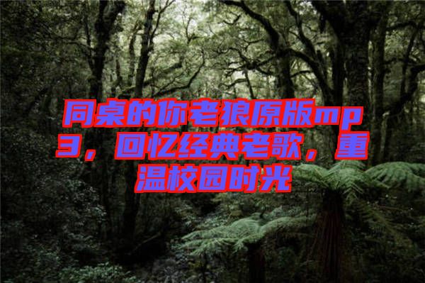 同桌的你老狼原版mp3，回憶經(jīng)典老歌，重溫校園時(shí)光