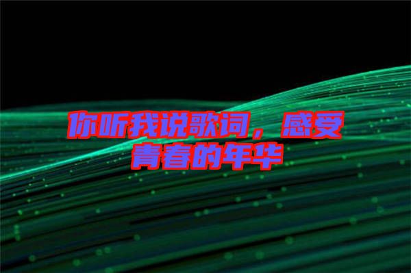 你聽我說歌詞，感受青春的年華