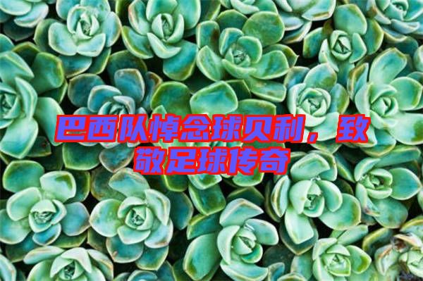 巴西隊(duì)悼念球貝利，致敬足球傳奇