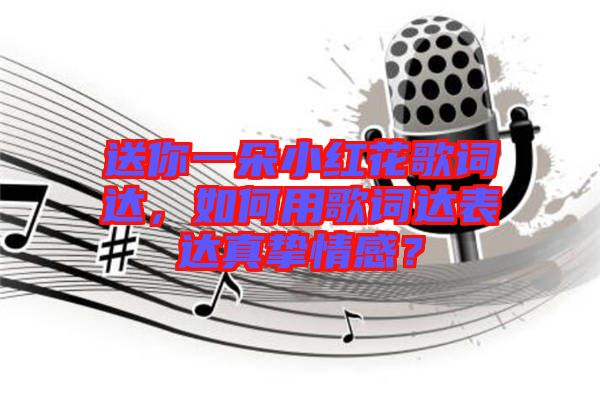 送你一朵小紅花歌詞達(dá)，如何用歌詞達(dá)表達(dá)真摯情感？