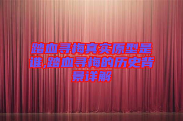 踏血尋梅真實(shí)原型是誰,踏血尋梅的歷史背景詳解