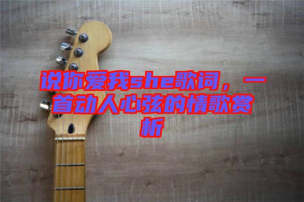 說你愛我she歌詞，一首動人心弦的情歌賞析
