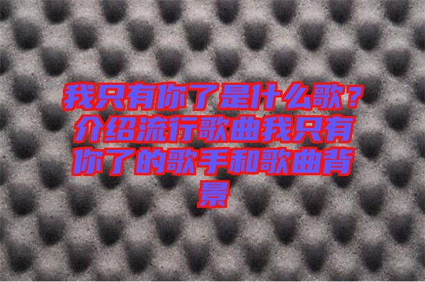 我只有你了是什么歌？介紹流行歌曲我只有你了的歌手和歌曲背景
