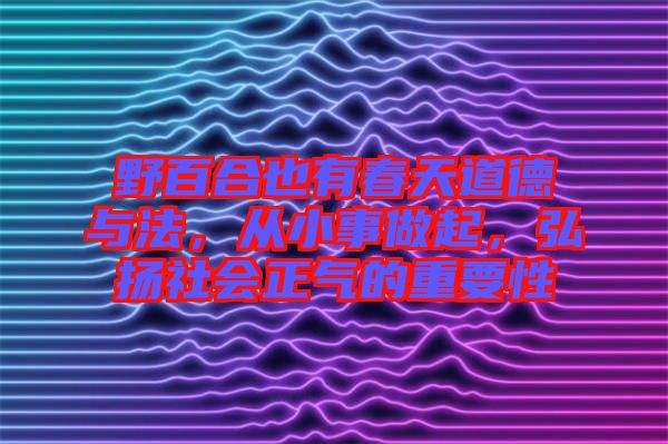 野百合也有春天道德與法，從小事做起，弘揚(yáng)社會(huì)正氣的重要性