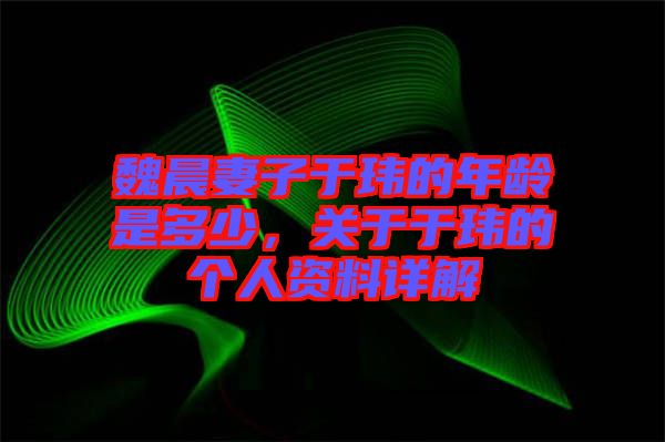 魏晨妻子于瑋的年齡是多少，關于于瑋的個人資料詳解