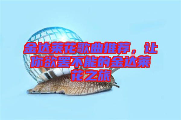 金達萊花歌曲推薦，讓你欲罷不能的金達萊花之旅