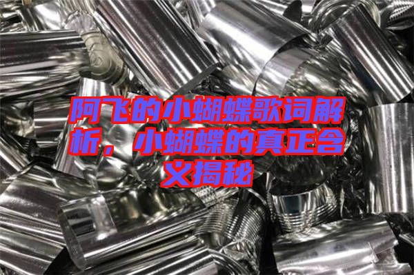 阿飛的小蝴蝶歌詞解析，小蝴蝶的真正含義揭秘