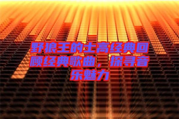 野狼王的士高經(jīng)典回顧經(jīng)典歌曲，探尋音樂魅力
