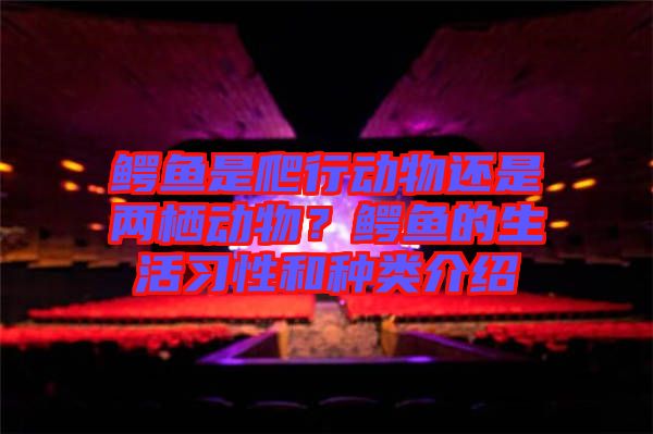 鱷魚(yú)是爬行動(dòng)物還是兩棲動(dòng)物？鱷魚(yú)的生活習(xí)性和種類介紹