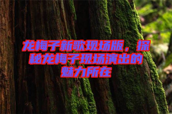 龍梅子新歌現(xiàn)場(chǎng)版，探秘龍梅子現(xiàn)場(chǎng)演出的魅力所在