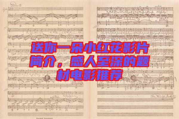 送你一朵小紅花影片簡介，感人至深的題材電影推薦
