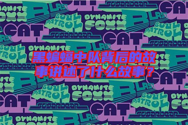 黑蝙蝠中隊背后的故事講述了什么故事？