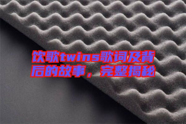 飲歌twins歌詞及背后的故事，完整揭秘