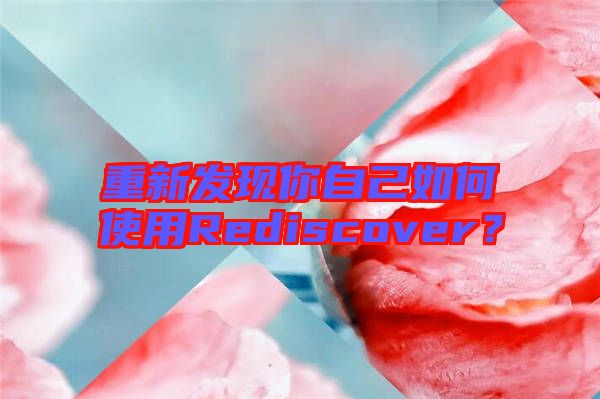 重新發(fā)現你自己如何使用Rediscover？