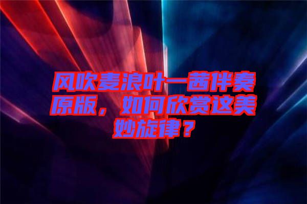 風(fēng)吹麥浪葉一茜伴奏原版，如何欣賞這美妙旋律？