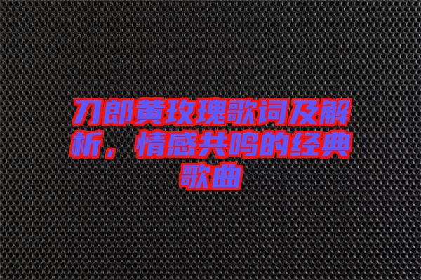 刀郎黃玫瑰歌詞及解析，情感共鳴的經(jīng)典歌曲