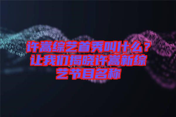 許嵩綜藝首秀叫什么？讓我們揭曉許嵩新綜藝節(jié)目名稱