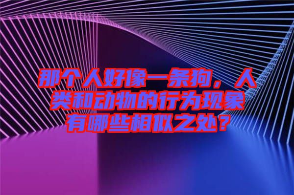 那個人好像一條狗，人類和動物的行為現(xiàn)象有哪些相似之處？