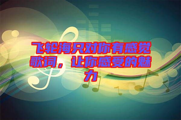 飛輪海只對(duì)你有感覺歌詞，讓你感受的魅力