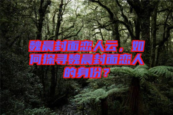 魏晨封面戀人云，如何探尋魏晨封面戀人的身份？