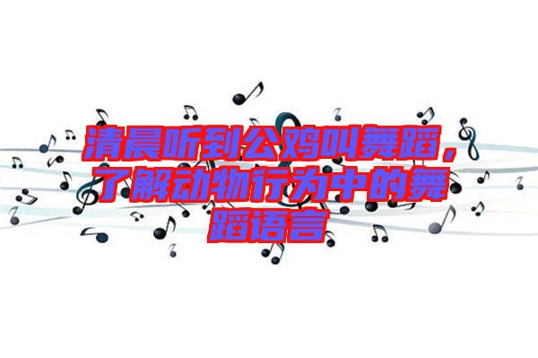 清晨聽到公雞叫舞蹈，了解動物行為中的舞蹈語言