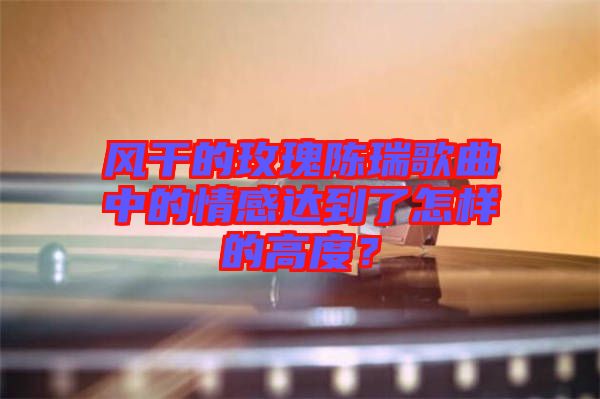 風(fēng)干的玫瑰陳瑞歌曲中的情感達(dá)到了怎樣的高度？