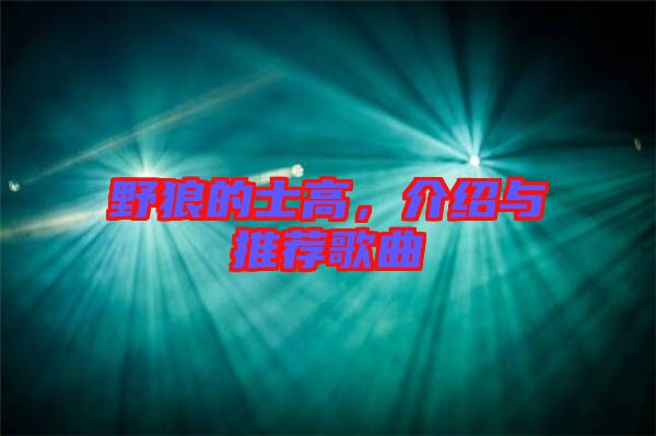 野狼的士高，介紹與推薦歌曲