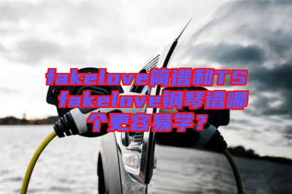 fakelove簡譜和TS fakelove鋼琴譜哪個(gè)更容易學(xué)？