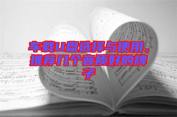 車載U盤選擇與使用，推薦幾個(gè)音質(zhì)好的牌子