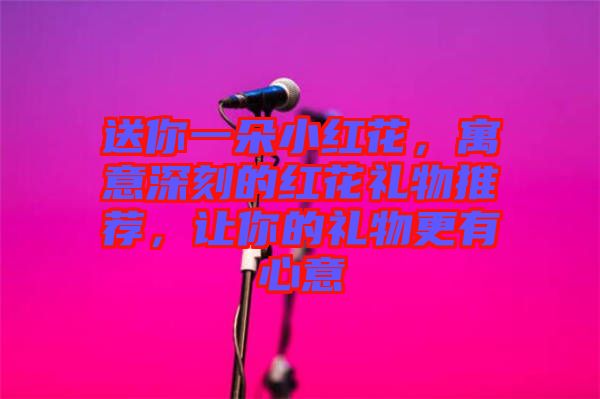 送你一朵小紅花，寓意深刻的紅花禮物推薦，讓你的禮物更有心意