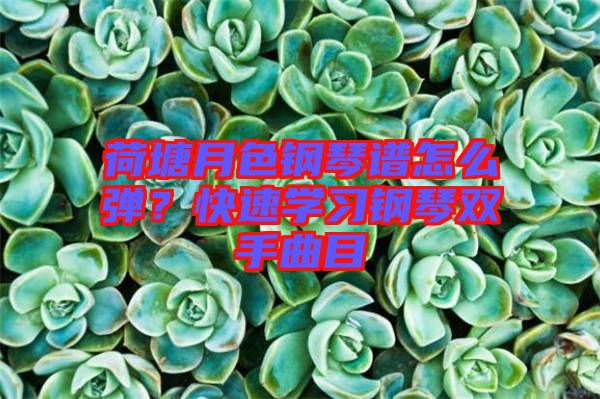 荷塘月色鋼琴譜怎么彈？快速學(xué)習(xí)鋼琴雙手曲目