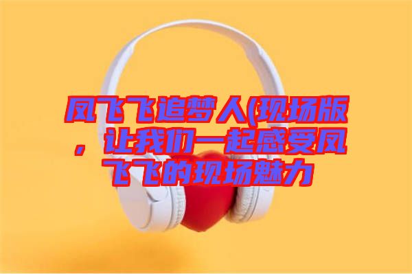 鳳飛飛追夢人(現(xiàn)場版，讓我們一起感受鳳飛飛的現(xiàn)場魅力