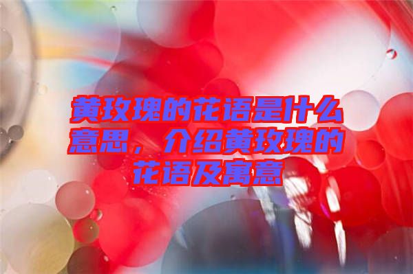 黃玫瑰的花語是什么意思，介紹黃玫瑰的花語及寓意