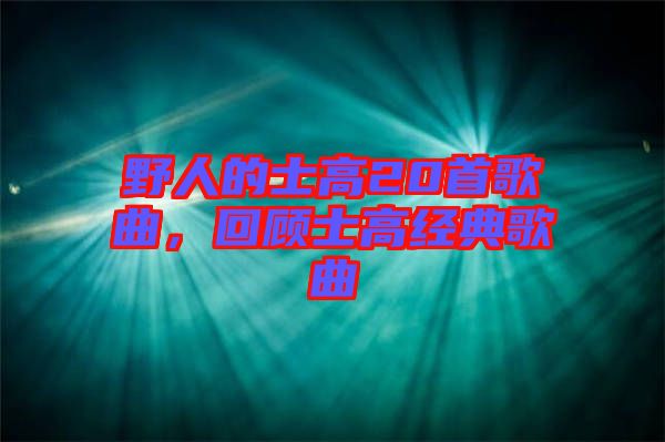野人的士高20首歌曲，回顧士高經(jīng)典歌曲