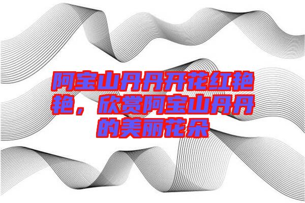 阿寶山丹丹開花紅艷艷，欣賞阿寶山丹丹的美麗花朵