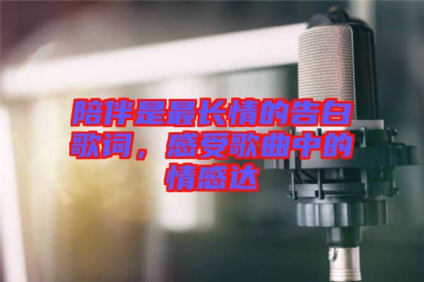 陪伴是最長情的告白歌詞，感受歌曲中的情感達(dá)