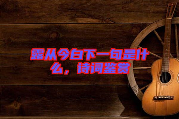 露從今白下一句是什么，詩(shī)詞鑒賞