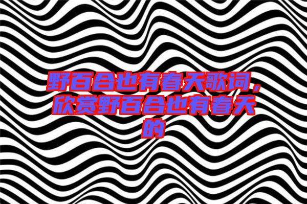 野百合也有春天歌詞，欣賞野百合也有春天的