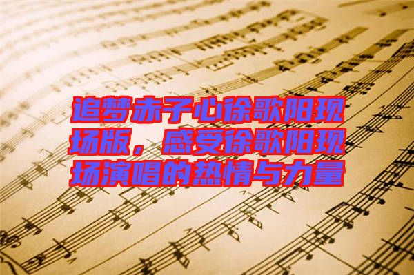 追夢赤子心徐歌陽現(xiàn)場版，感受徐歌陽現(xiàn)場演唱的熱情與力量